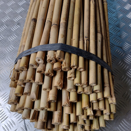 Cane Natural Bamboo Stakes 120cm 10-12mm 400 pieces