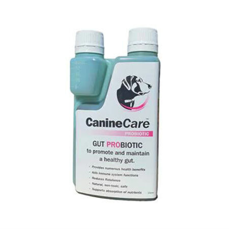 CanineCare Gut Probiotic