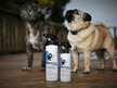 CanineCare Probiotic Spray