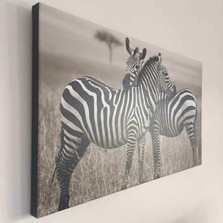 Canvas Prints