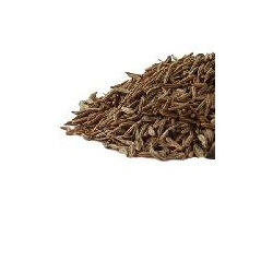 Caraway Seed Organic - 10g