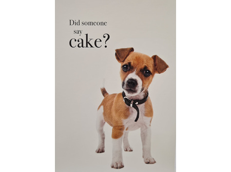 Card "Did Someone Say Cake?"