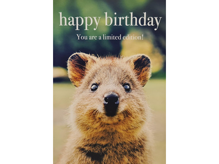 Card " Happy Birthday. You Are A Limited Addition!"