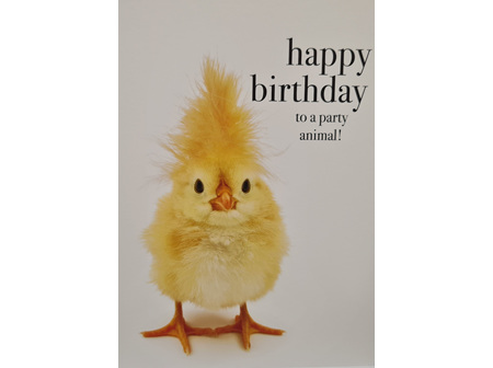 Card " Party Animal"