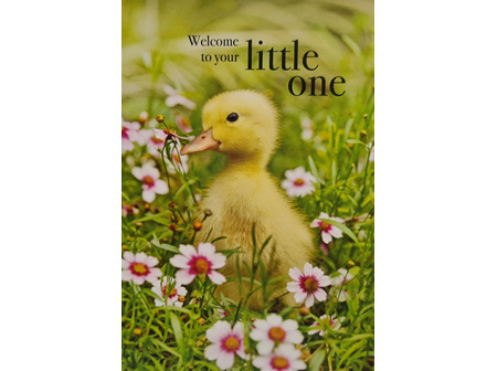Card " Welcome To Your Little One"