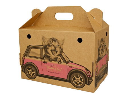 Cardboard Animobile Box