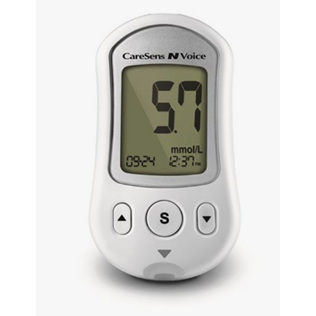 CARESENS N VOICE BLOOD GLUCOSE MONITOR