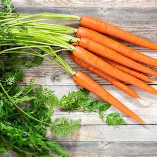 Carrots Organic