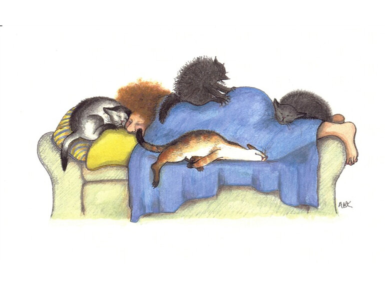 cartoon: cats on and cuddled up to owner who is napping on sofa