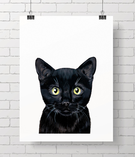 cat - black