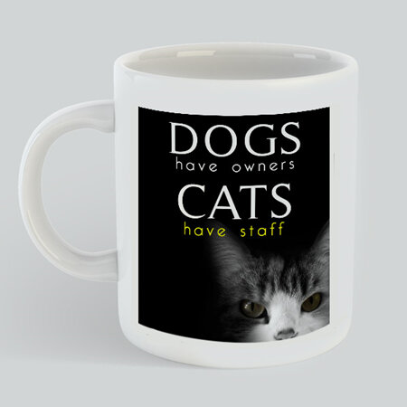 Cat Have Staff Mug