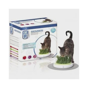 Cat It Senses - Grass Garden Kit