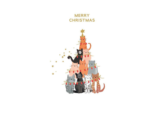 Cat Pyramid with Christmas Lights Card | Hammond & Gower
