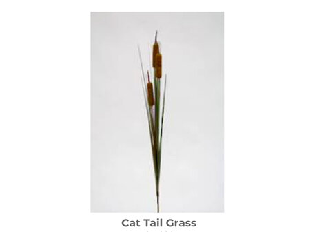 Cat Tail Grass 85cm