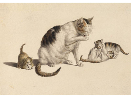Cat & Three Kittens Card, Gottfried Mind by Art Press