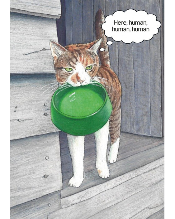 Cath Tate - Here Human - Humour Card cat