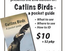 Catlins Birds - A Pocket Guide