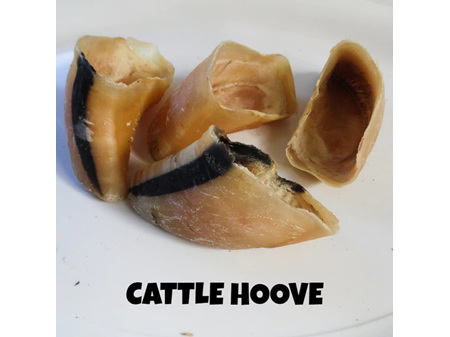 Cattle Hooves