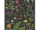 Cavallini & Co. Herbarium 1000 Piece Vintage Puzzle