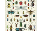 Cavallini & Co. 1000 Piece Puzzle Bugs & Insects NEW 2023