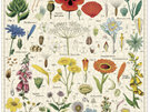 Cavallini & Co. Wildflowers 1000 Piece Vintage Puzzle