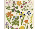 Cavallini & Co. 1000 Piece Puzzle Pressed Flowers NEW 2023