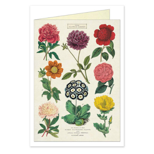 Cavallini & Co. Botanica Card