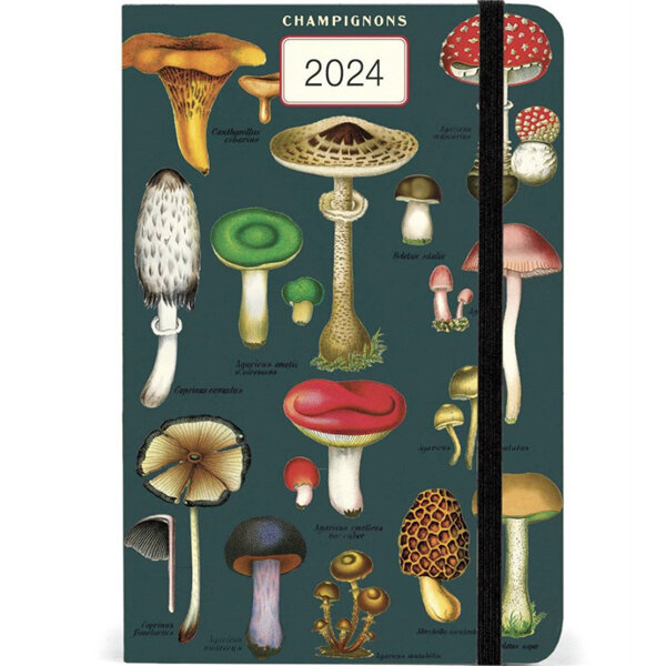 Cavallini & Co. Mushrooms 2024 Year Planner