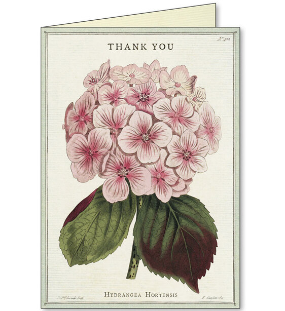 Cavallini & Co. Hydrangea Thank You Card