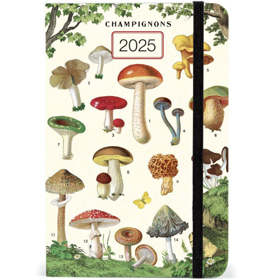 Cavallini & Co. Mushrooms 2025 Year Planner