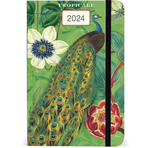 Cavallini & Co. Tropicale 2024 Year Planner diary schedule