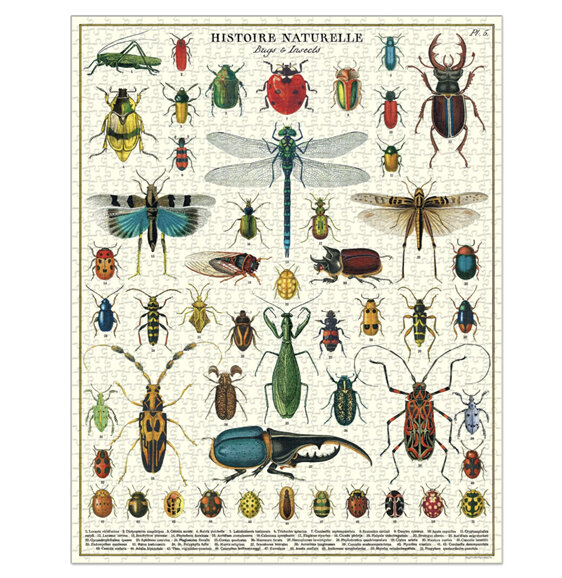 Cavallini & Co. 1000 Piece Puzzle Bugs & Insects NEW 2023