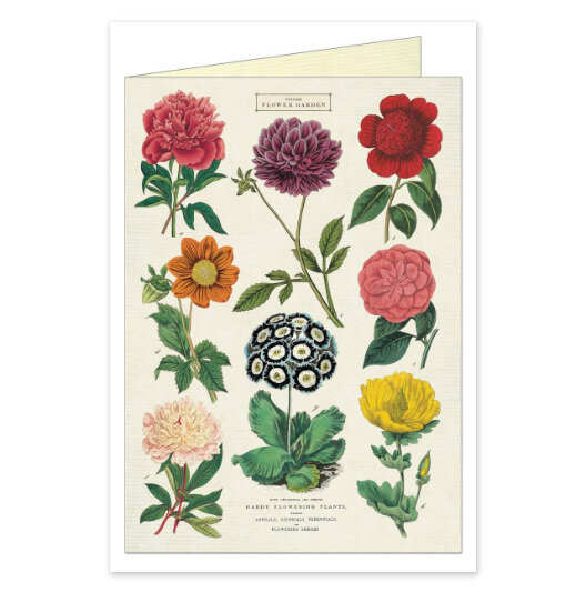 Cavallini & Co. Botanica Card floral