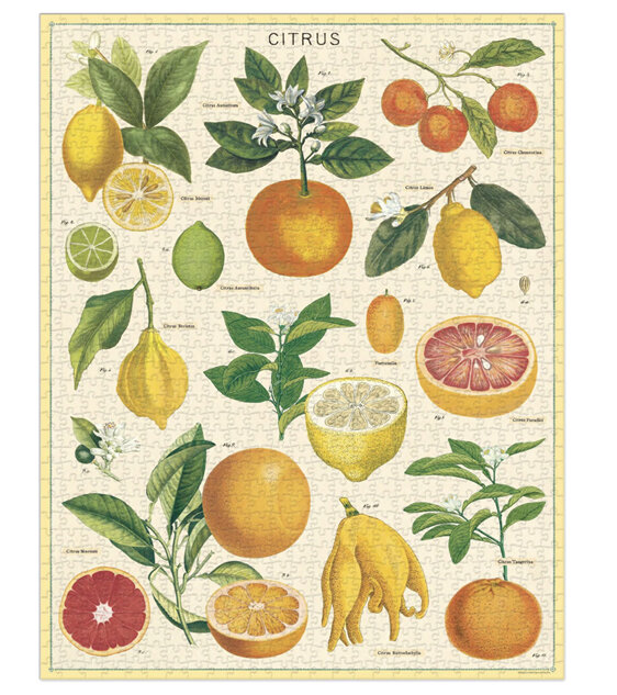 Cavallini & Co. 1000 Piece Vintage Puzzle Citrus New 2022!