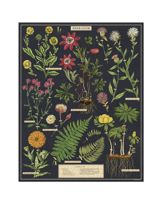 Cavallini & Co. Herbarium 1000 Piece Vintage Puzzle