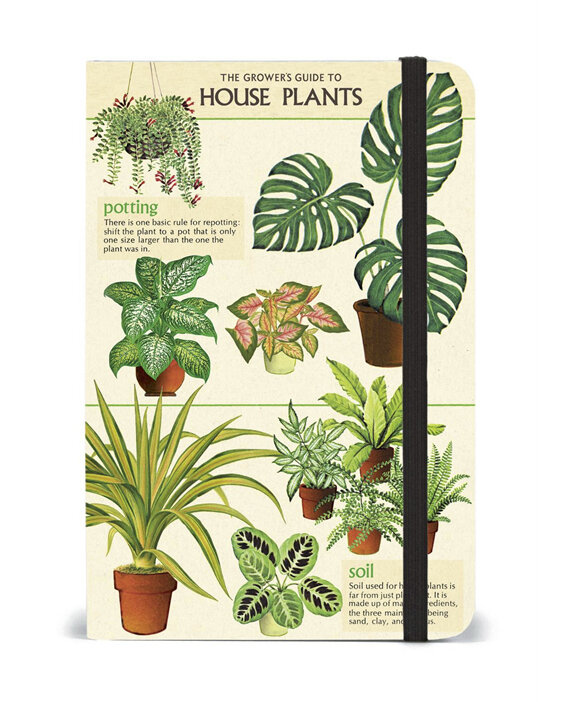 Cavallini & Co. Small Notebook House Plants