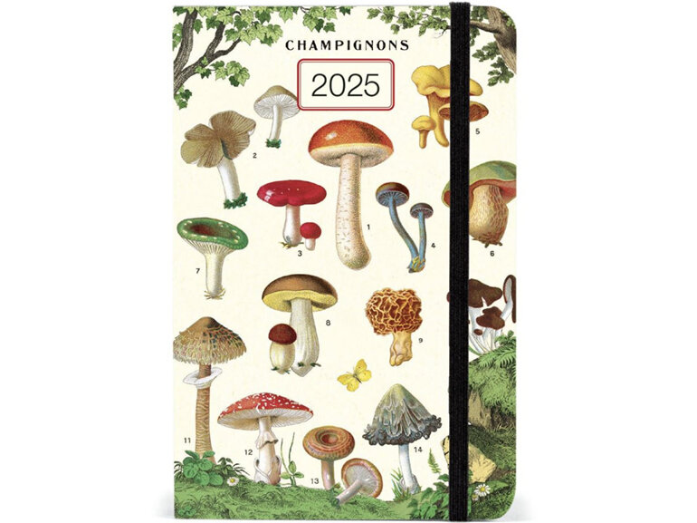 Cavallini & Co. Mushrooms 2025 Year Planner