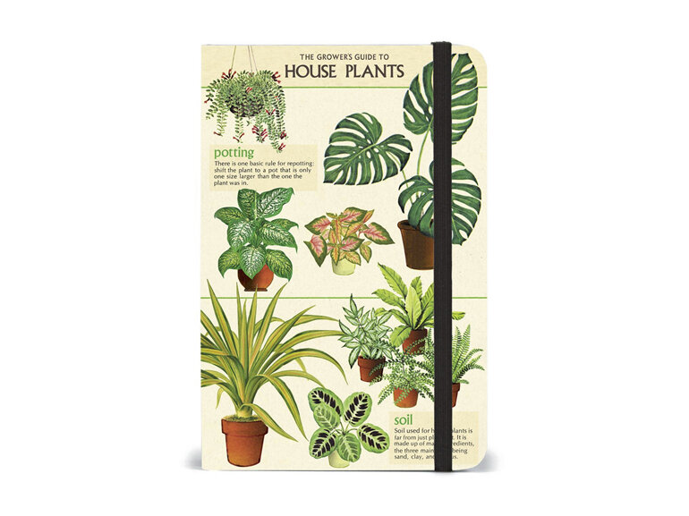 Cavallini & Co. Small Notebook House Plants