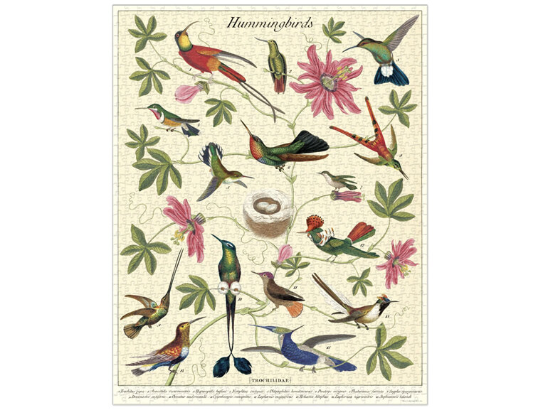 Cavallini & Co. 1000 Piece Vintage Puzzle Hummingbirds New 2022!