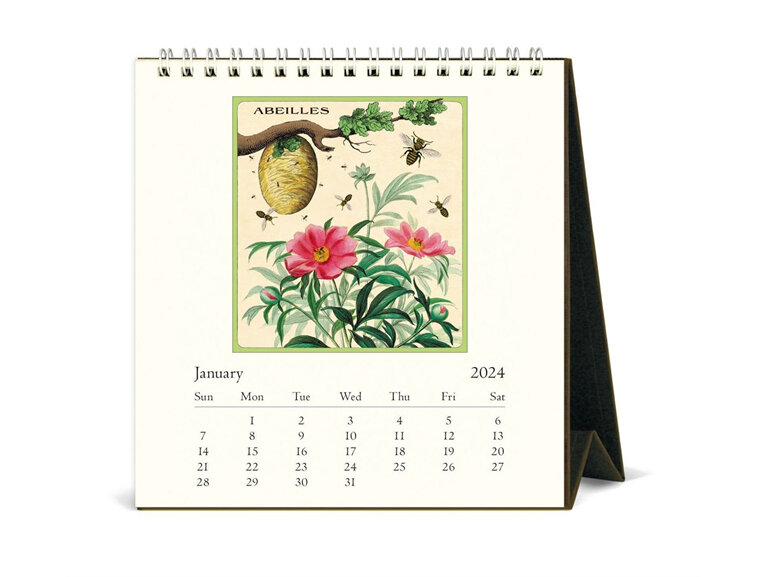 Cavallini & Co Bees & Honey 2024 Desk Calendar