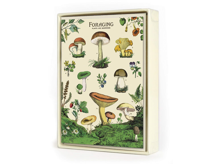 Cavallini & Co Boxed Notecards Foraging Mushrooms Pack 8