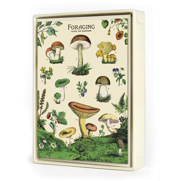 Cavallini & Co Boxed Notecards   Foraging Mushrooms Pack 8