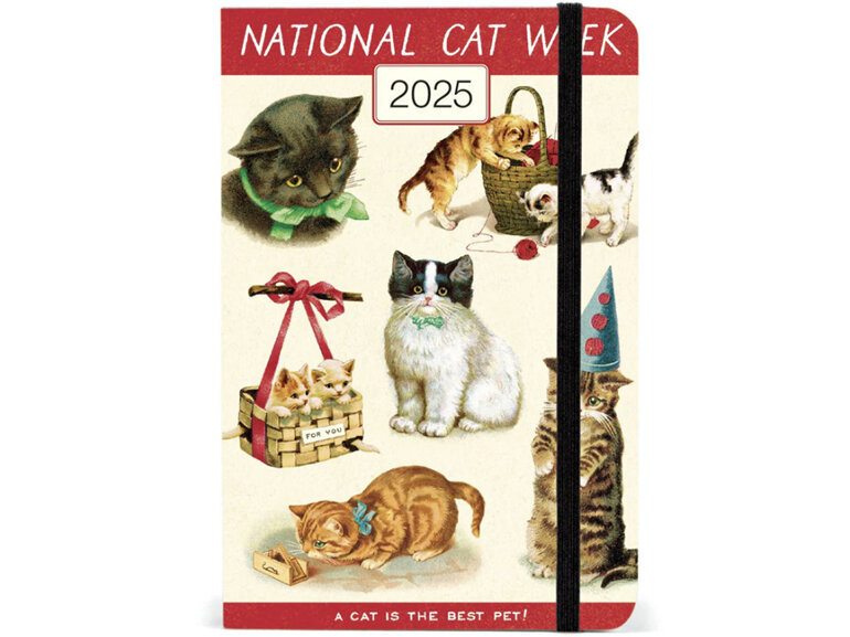 Cavallini & Co - Cats - 2025 Weekly Year Planner  A6 diary schedule