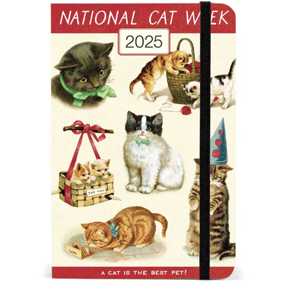 Cavallini & Co - Cats - 2025 Weekly Year Planner  A6 diary schedule