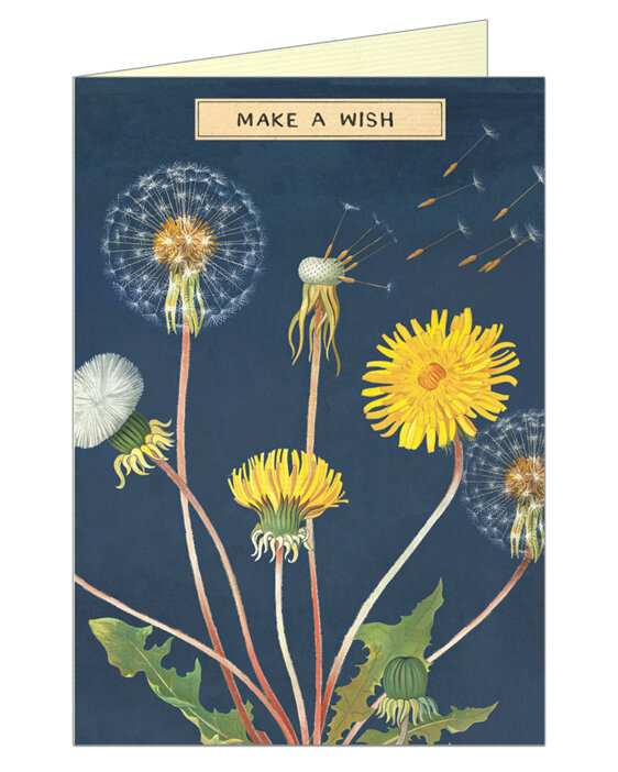 Cavallini & Co - Make A Wish Card