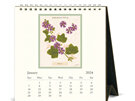 Cavallini & Co Pressed Flowers 2024 Desk Calendar