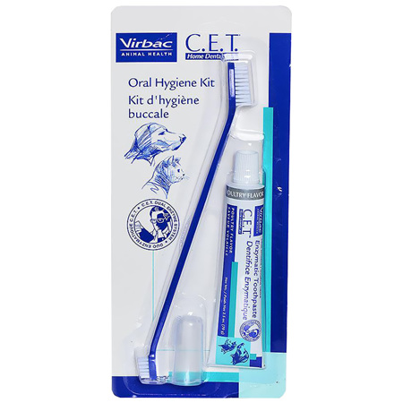 CET Home Dental Kit