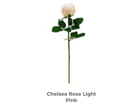Chelsea Rose Light Pink