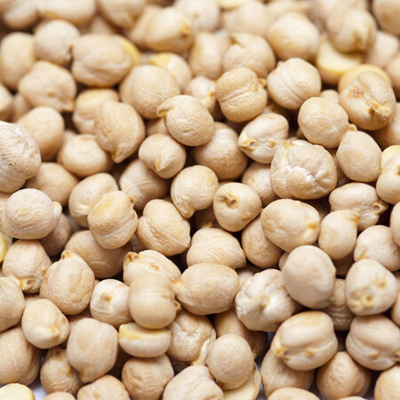 Chickpeas Dried Organic Approx 100g