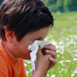 Children's Allergies